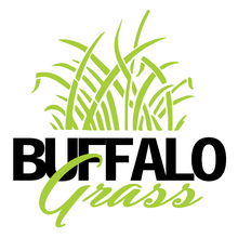 Load image into Gallery viewer, Buffalo Grass