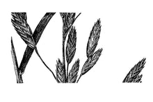 Load image into Gallery viewer, Rescuegrass*