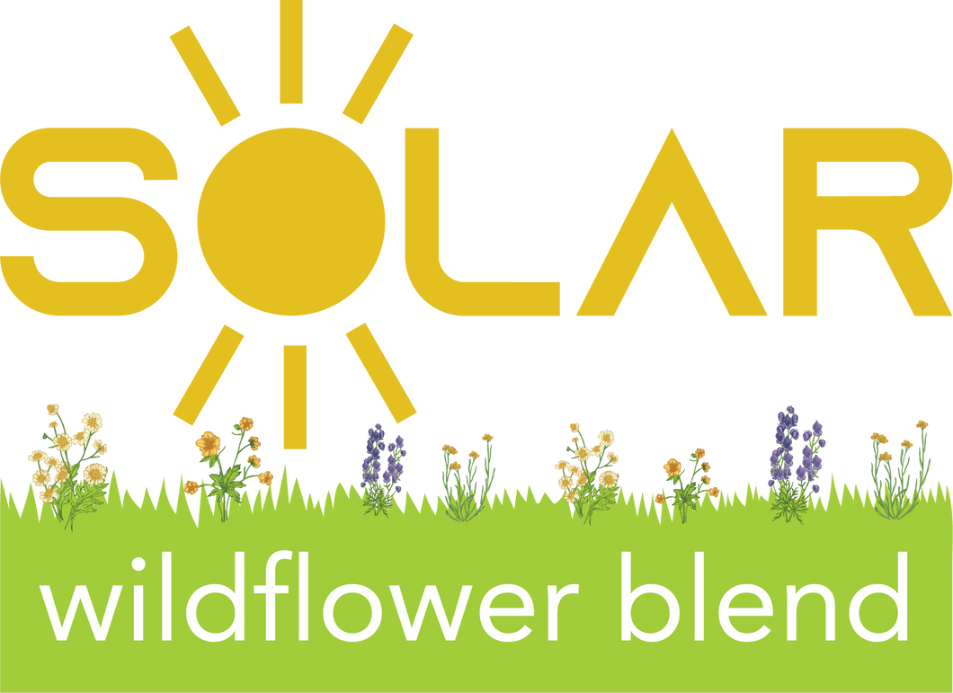 Solar Wildflower Blend