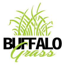 Load image into Gallery viewer, Buffalograss
