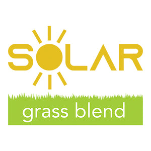 Solar Grass Blend